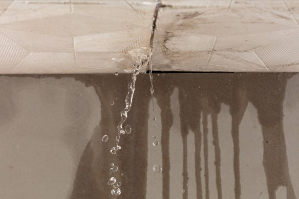 Professional Water Damage Restoration technician working in Whitesburg, TN
